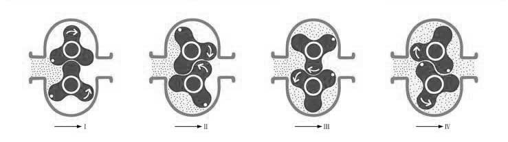 轉(zhuǎn)子泵原理.jpg